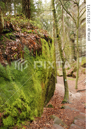 Vertical shot of large mossy green rocks in Bohemian Paradise in the Czech Republic 101713471