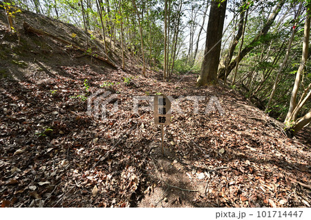 備前「三石城」曲輪、石垣、堀切と眺望 101714447