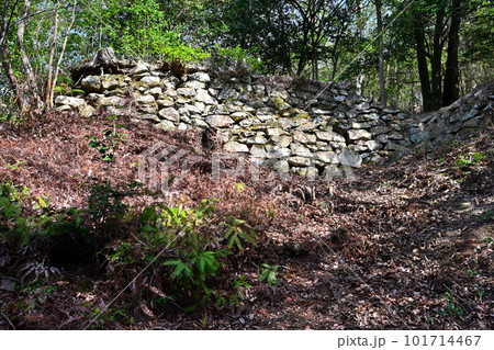 備前「三石城」曲輪、石垣、堀切と眺望 101714467