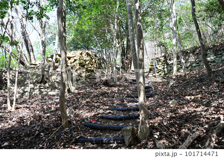 備前「三石城」曲輪、石垣、堀切と眺望 101714471