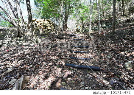 備前「三石城」曲輪、石垣、堀切と眺望 101714472