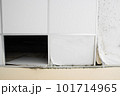 gypsum moldy ceiling water leak decay hole  101714965