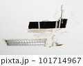 gypsum moldy ceiling water leak decay hole  101714967