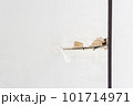 moldy on gypsum ceiling interior office building 101714971