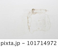 moldy on gypsum ceiling interior office building 101714972