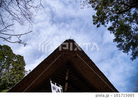 鎌倉 冬の杉本寺1 鎌倉 冬の杉本寺1 101715005