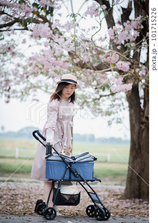the springtime brings asian woman and her cat on a journey the springtime brings asian woman and her cat on a journey 101715226