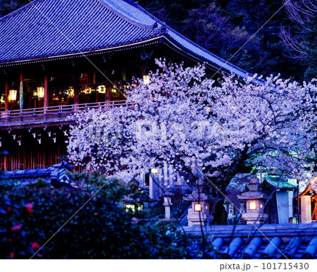 東大寺二月堂と桜 RVP100 Mamiya RB67 Pro SD 1993年4月10日 東大寺二月堂と桜 RVP100 Mamiya RB67 Pro SD 1993年4月10日 101715430