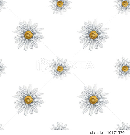 Seamless hand drawn pattern with white chamomiles. Flower background for textiles, fabrics, banner, wrapping paper and other designs. Digital illustration on white background. 101715764