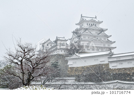 雪が降る中の姫路城 雪が降る中の姫路城 101716774