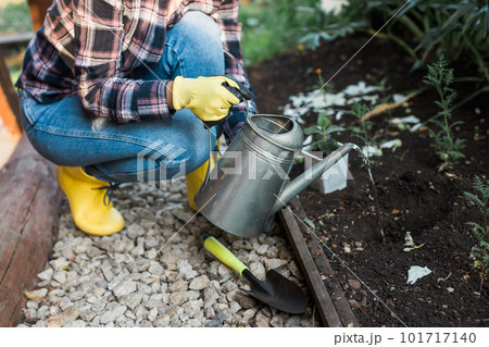 Woman in her garden water with watering can plants in garden. Concept gardening spring and bio and ecological Woman in her garden water with watering can plants in garden. Concept gardening spring and bio and ecological 101717140