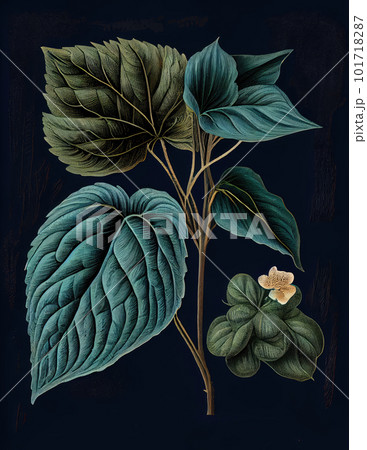 Perilla Botanical Illustration, Shiso Medicinal and Food Plant, Perilla Frutescens Abstract Generative AI Illustration 101718287
