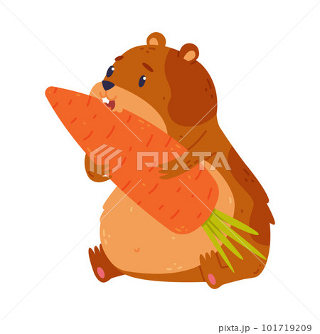 Cute pet hamster eating carrot, funny brown rodent pet animal cartoon vector illustration 101719209