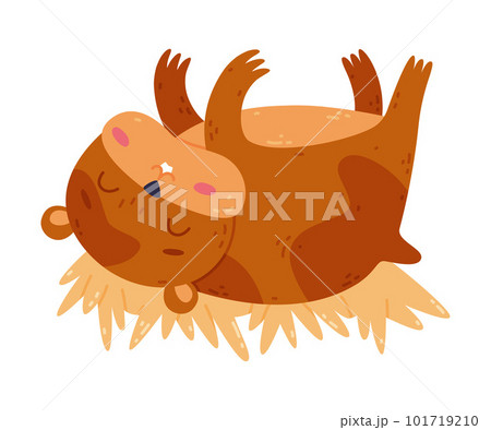 Cute pet hamster sleeping on straw, funny brown rodent pet animal cartoon vector illustration 101719210