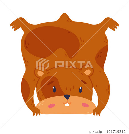Cute hamster standing upside down, funny brown rodent pet animal cartoon vector illustration 101719212