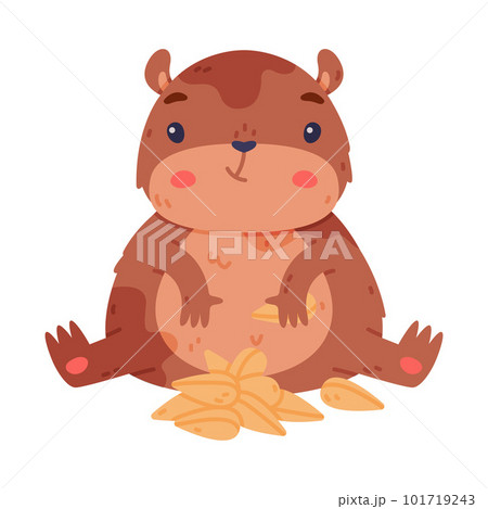 Cute Hamster Character with Stout Body Sitting and Eating Seeds Vector Illustration 101719243