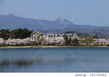 白河の山々と桜がコラボする南湖公園 101719381