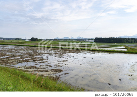 田植え前の地方の田園風景 101720069