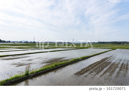 田植え前の地方の田園風景 101720071