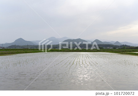 田植え前の地方の田園風景 101720072