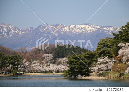東北の名庭園南湖公園から望む桜と那須連峰 101720824