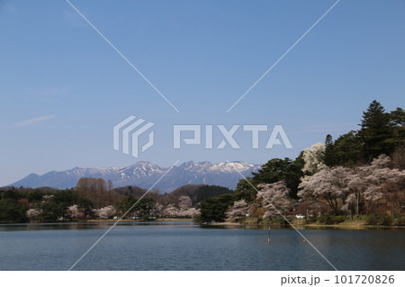 東北の名庭園南湖公園から望む桜と那須連峰 東北の名庭園南湖公園から望む桜と那須連峰 101720826