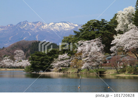 東北の名庭園南湖公園から望む桜と那須連峰 東北の名庭園南湖公園から望む桜と那須連峰 101720828