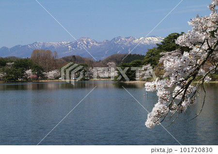東北の名庭園南湖公園から望む桜と那須連峰 東北の名庭園南湖公園から望む桜と那須連峰 101720830