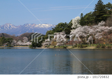 東北の名庭園南湖公園から望む桜と那須連峰 東北の名庭園南湖公園から望む桜と那須連峰 101720832
