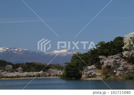 南湖公園から望む桜と那須と甲子の山々 101721080