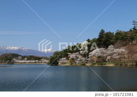 南湖公園から望む桜と那須と甲子の山々 南湖公園から望む桜と那須と甲子の山々 101721081