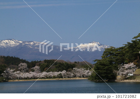 南湖公園から望む桜と那須と甲子の山々 南湖公園から望む桜と那須と甲子の山々 101721082