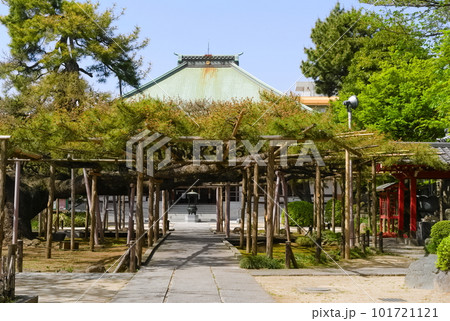 東京都江戸川区善養寺周辺の風景2023年4月 東京都江戸川区善養寺周辺の風景2023年4月 101721121