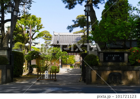 東京都江戸川区善養寺周辺の風景2023年4月 東京都江戸川区善養寺周辺の風景2023年4月 101721123