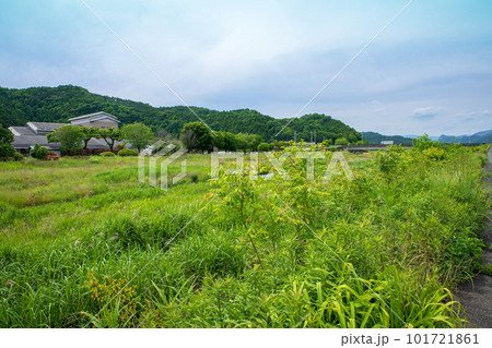 秋山川河原 初夏 田舎の風景 葛生アクトプラザ付近 秋山川河原 初夏 田舎の風景 葛生アクトプラザ付近 101721861