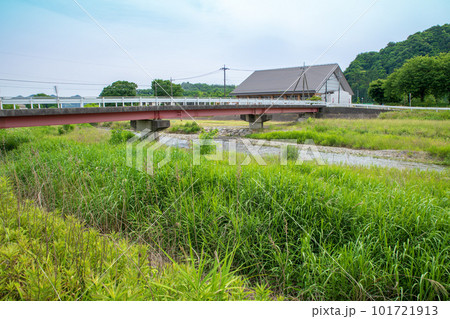 秋山川河原 初夏 田舎の風景 葛生アクトプラザ付近 秋山川河原 初夏 田舎の風景 葛生アクトプラザ付近 101721913