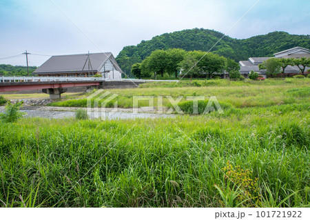 秋山川河原 初夏 田舎の風景 葛生アクトプラザ付近 秋山川河原 初夏 田舎の風景 葛生アクトプラザ付近 101721922