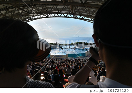 海洋博公園のイルカショー 海洋博公園のイルカショー 101722129