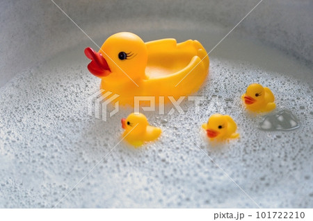 a rubber duck with three ducklings swims in the foam. View from above 101722210