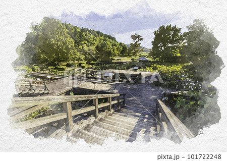 水彩画風　伯耆古代の丘公園　古代ハスの園　鳥取県米子市 101722248