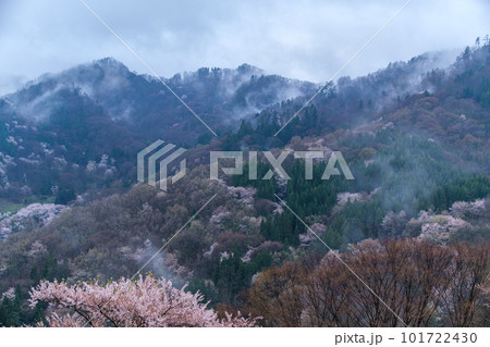 桜仙峡の夜明け 桜仙峡の夜明け 101722430