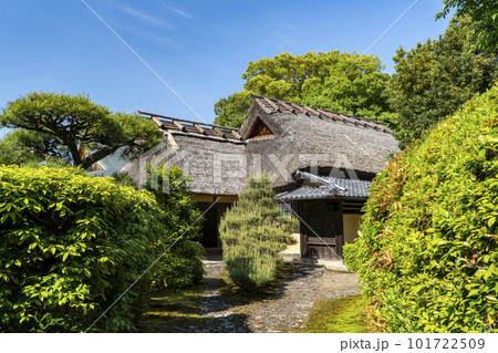 奈良　慈光院の春の庭 101722509