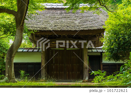 古都鎌倉の初夏 緑豊かな円覚寺 居士林 古都鎌倉の初夏 緑豊かな円覚寺 居士林 101722621