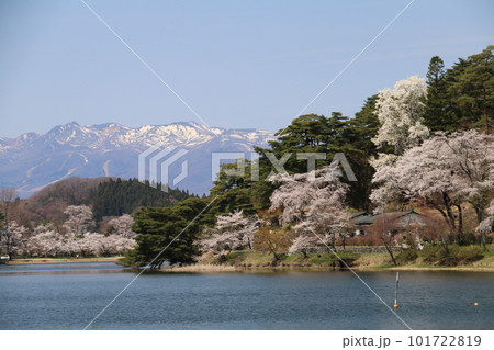 東北の名庭園南湖公園から望む桜と那須連峰 101722819