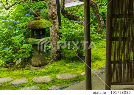 古都鎌倉の初夏　円覚寺塔頭　佛日庵　茶室「烟足軒」 101723089