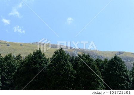 日本の四国にある春の笹ヶ峰の風景 日本の四国にある春の笹ヶ峰の風景 101723201