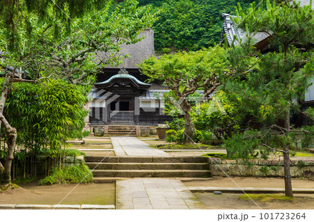 古都鎌倉の初夏 円覚寺塔頭 正続院 古都鎌倉の初夏 円覚寺塔頭 正続院 101723264