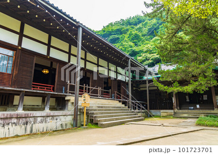 古都鎌倉の初夏 緑豊かな円覚寺 方丈 古都鎌倉の初夏 緑豊かな円覚寺 方丈 101723701