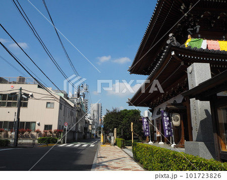 晴れた日の茗荷谷伝通院 晴れた日の茗荷谷伝通院 101723826