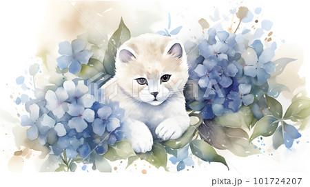 ふわふわで可愛い子猫と紫陽花のイラスト素材 [101724207] - PIXTA